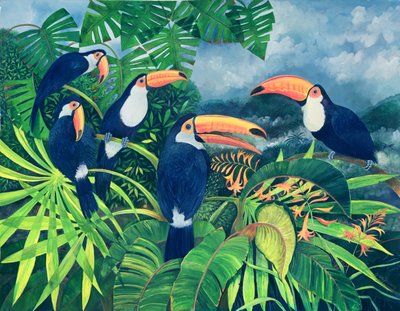 Toucan Talk by Lisa Graa Jensen